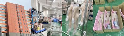Shenzhen Marcy Healthy Industry Co.,Ltd 製造業者の生産ライン