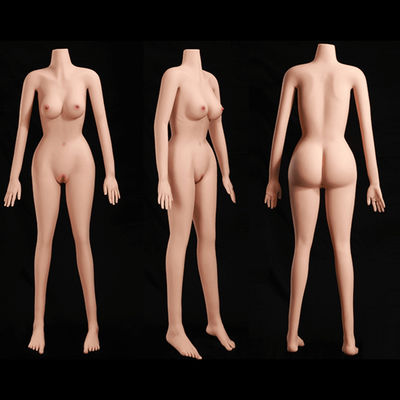 パーソナライズ可能なセックスドールの体 158cm 高さ スリムな体型と小さな乳房 弾性柔らかい肌-MARCY